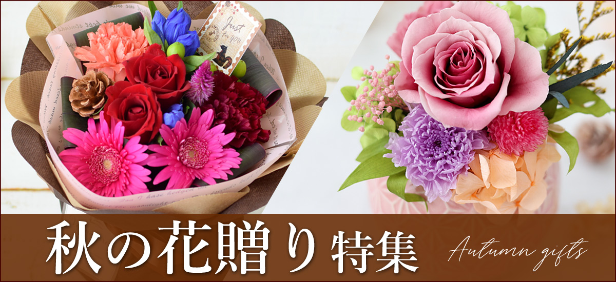 25au_bn1200x550.jpg