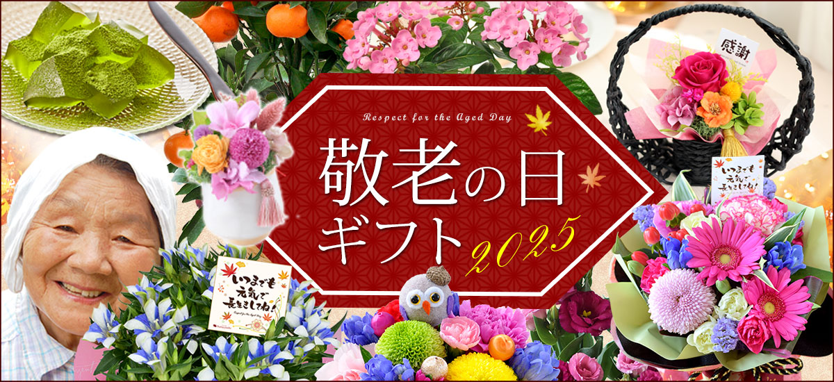 25keiro_bn1200x550.jpg