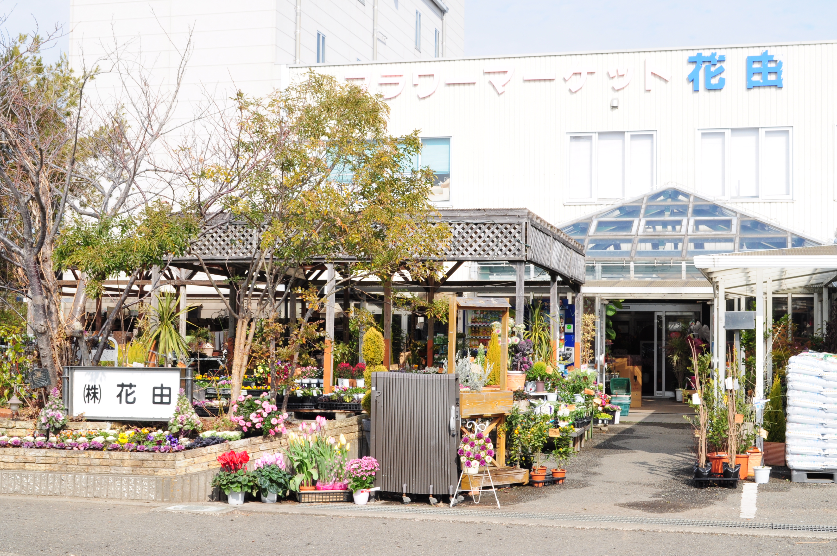 本社（マリンピア店）