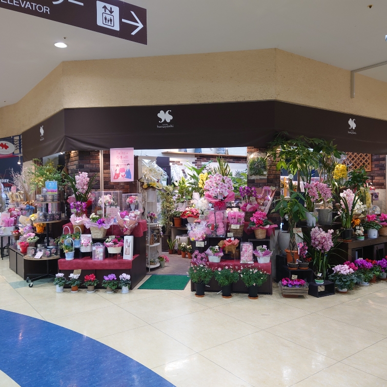 フジグラン北島店 外観