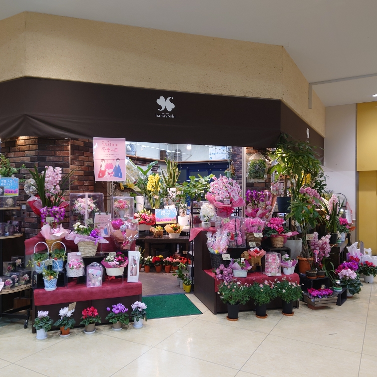 フジグラン北島店 内観1