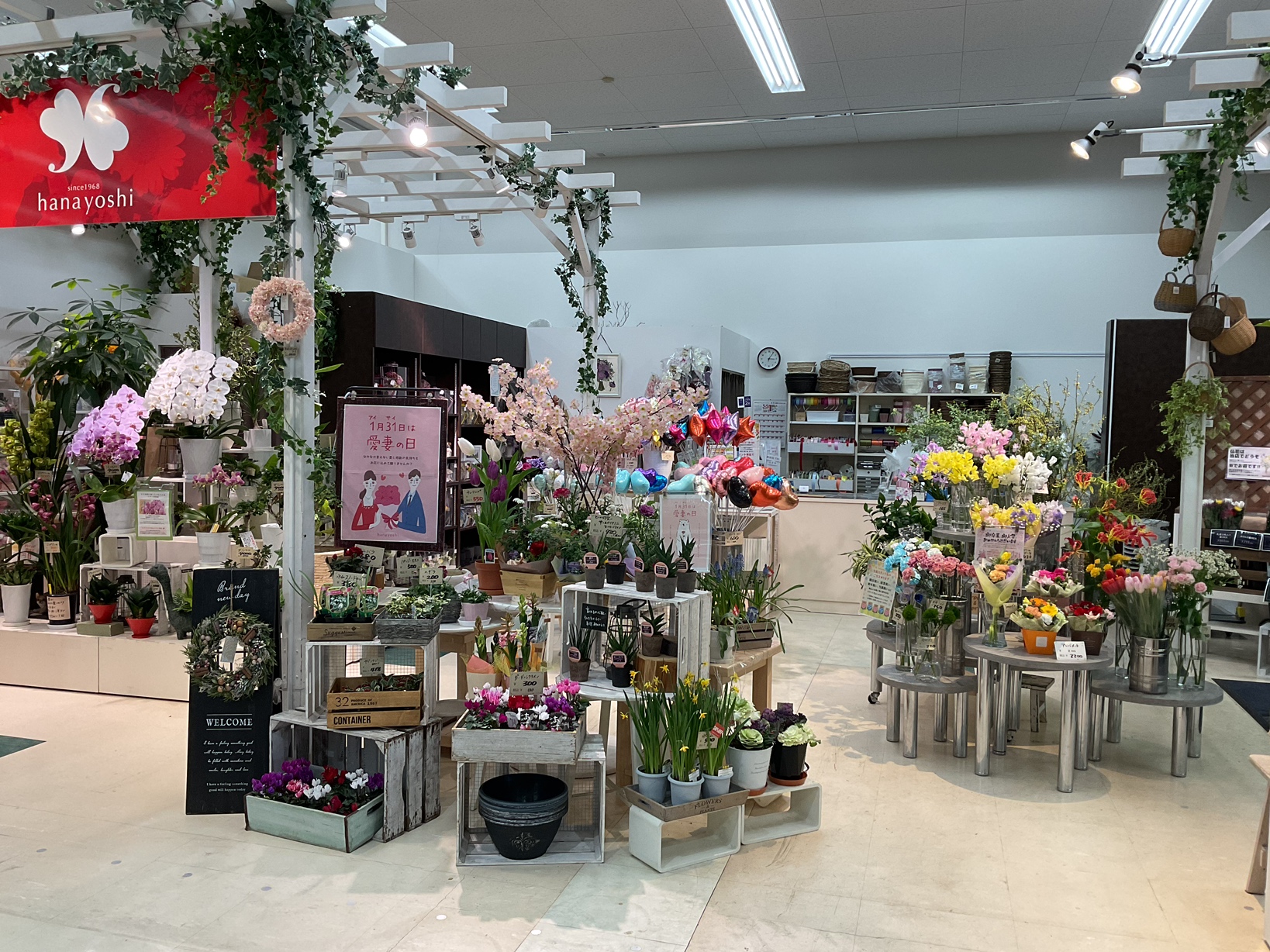 フジグラン丸亀店