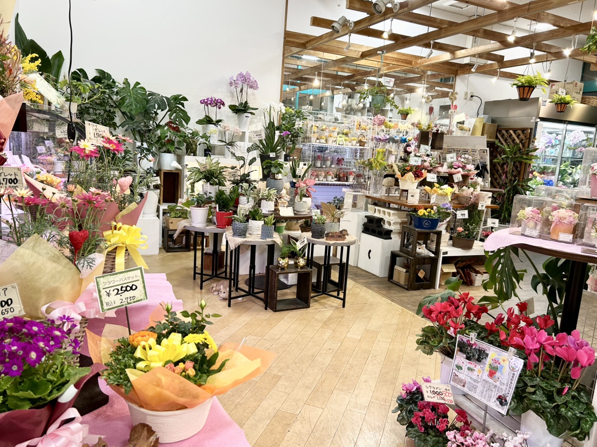 パルティ・フジ志度店