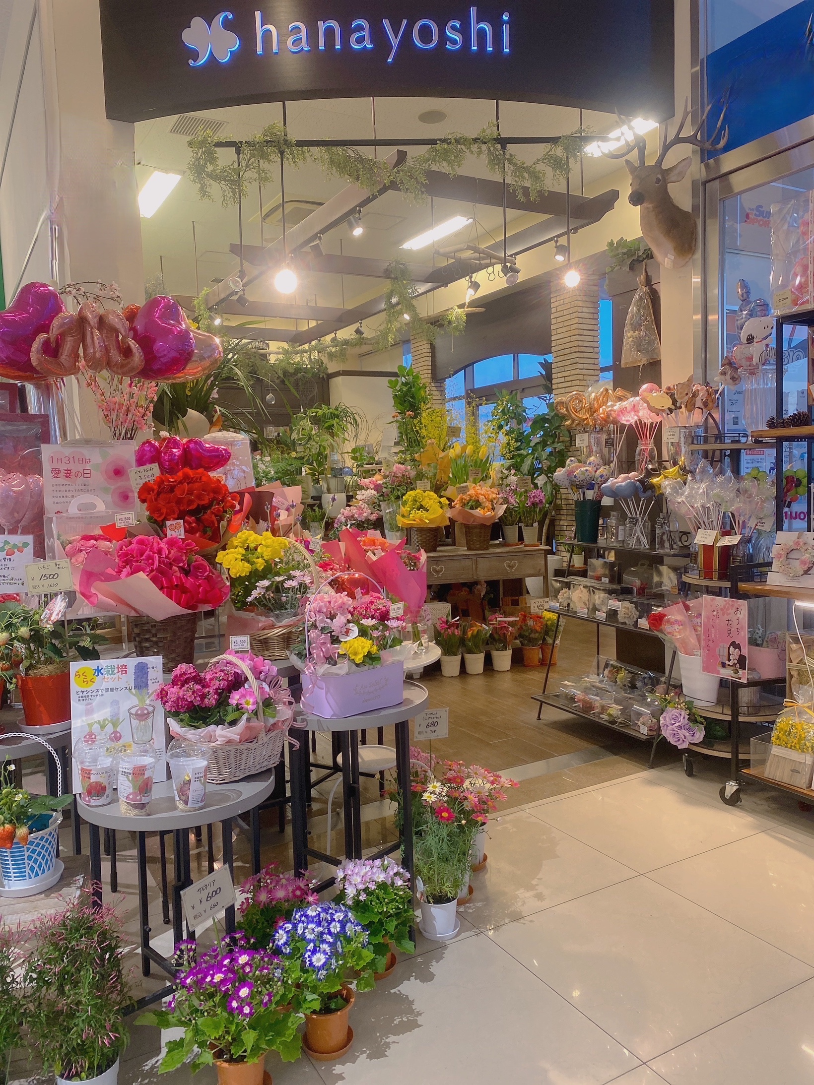 ゆめタウン徳島店