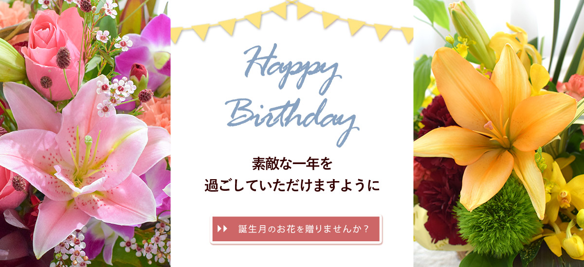 bd9_bn1200x550n.jpg