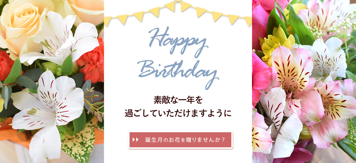 bd4_bn1200x550n.jpg