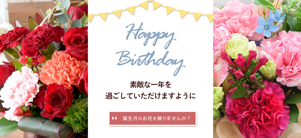 bd5_bn1200x550n.jpg
