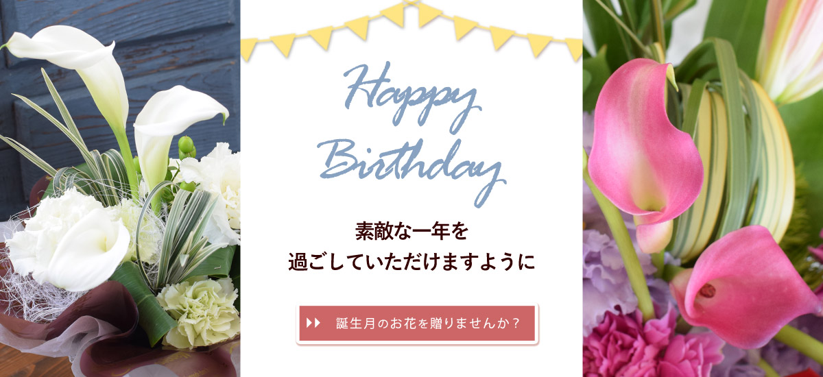 bd6_bn1200x550n.jpg