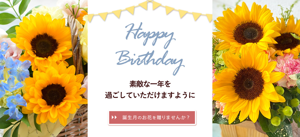 bd7_bn1200x550n.jpg