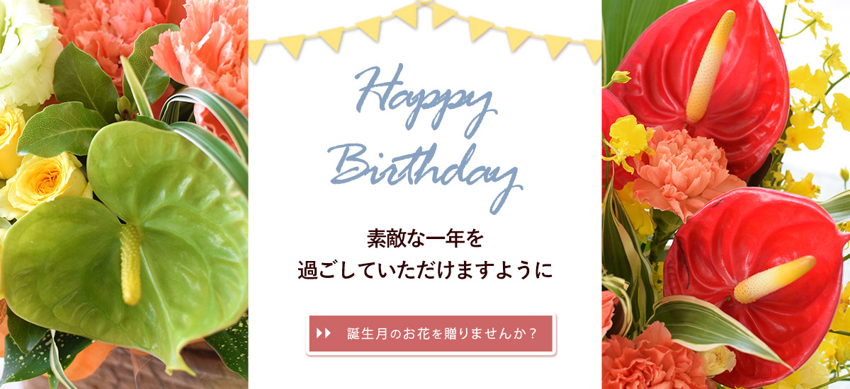 bd8_bn1200x550n.jpg