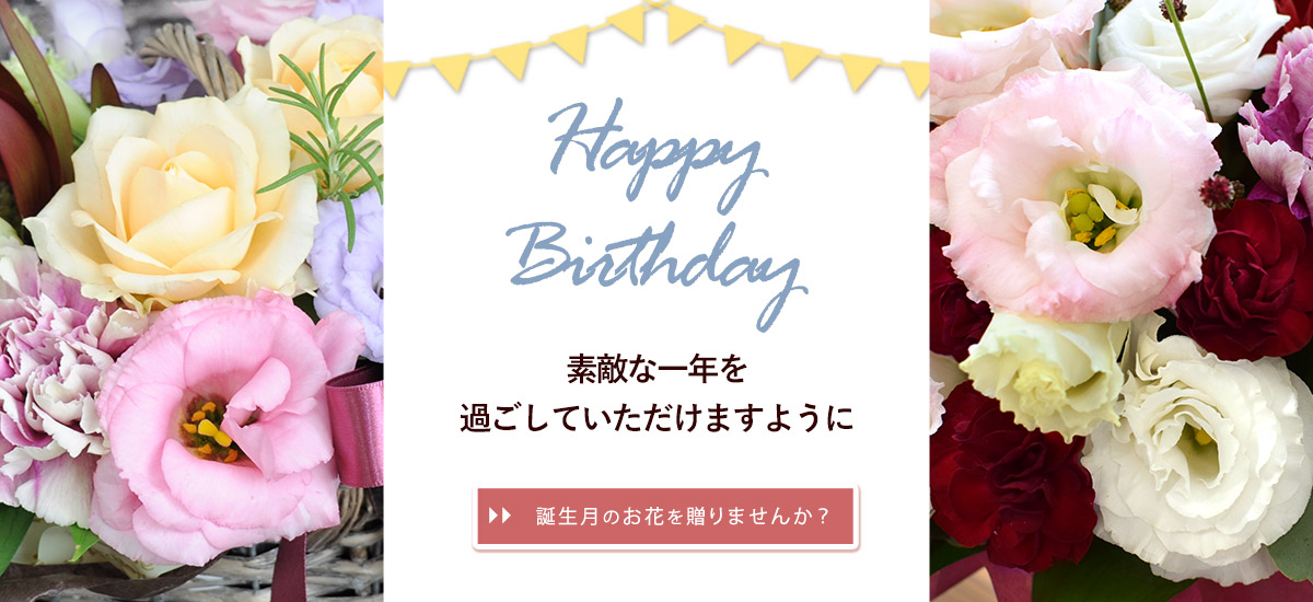 bd9_bn1200x550n.jpg