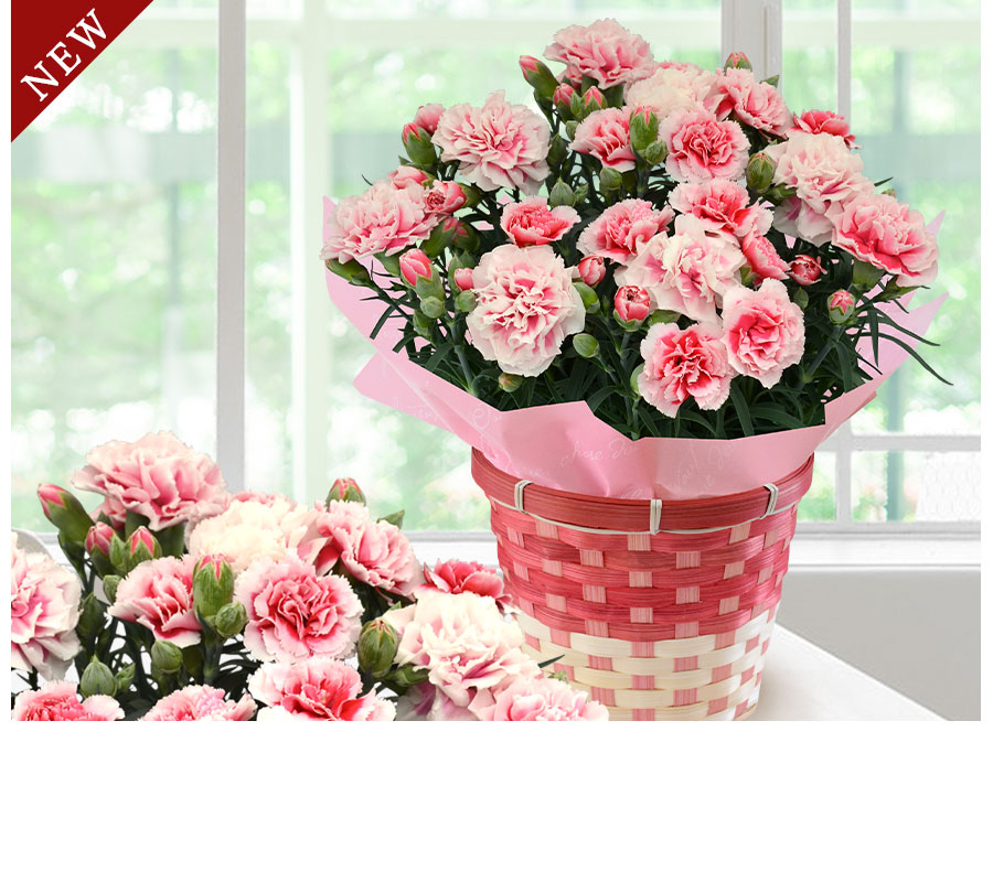 Flowerです ハーバリウム スイート系 【薔薇とパステルカラーのボトル