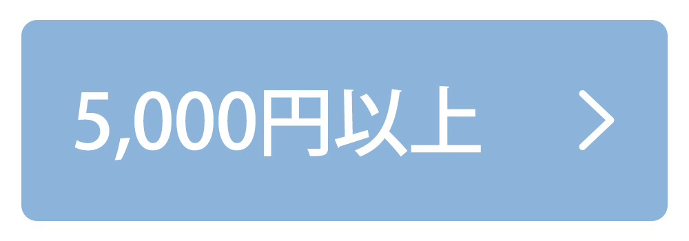 5000円以上