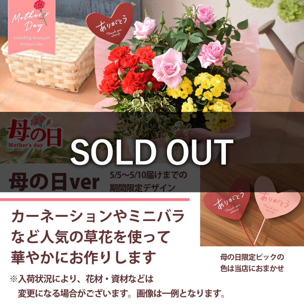 送料無料 季節のおまかせ花鉢とグリーンの寄せ入れ Sサイズ フラワー