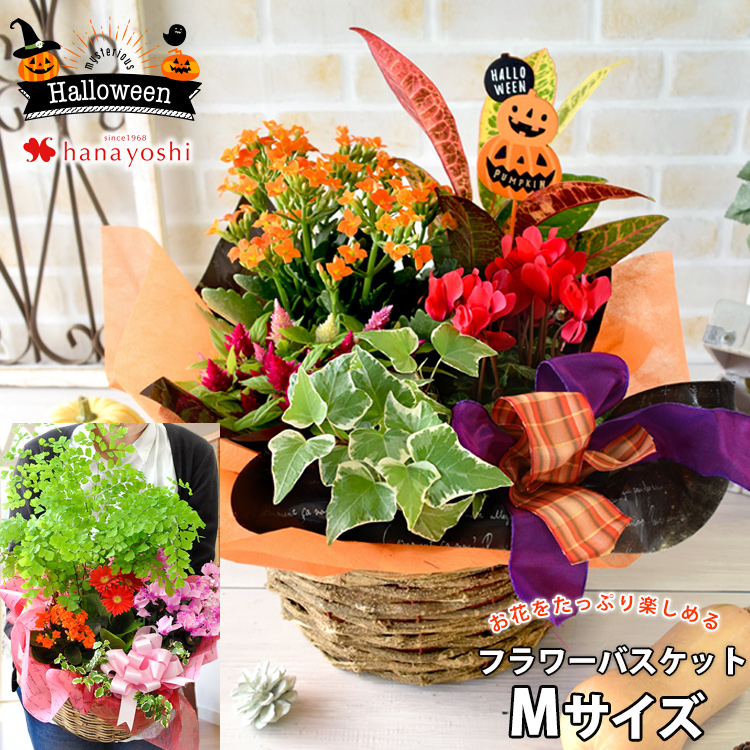 ハッピー ハロウィン フラワーマーケット花由公式サイト