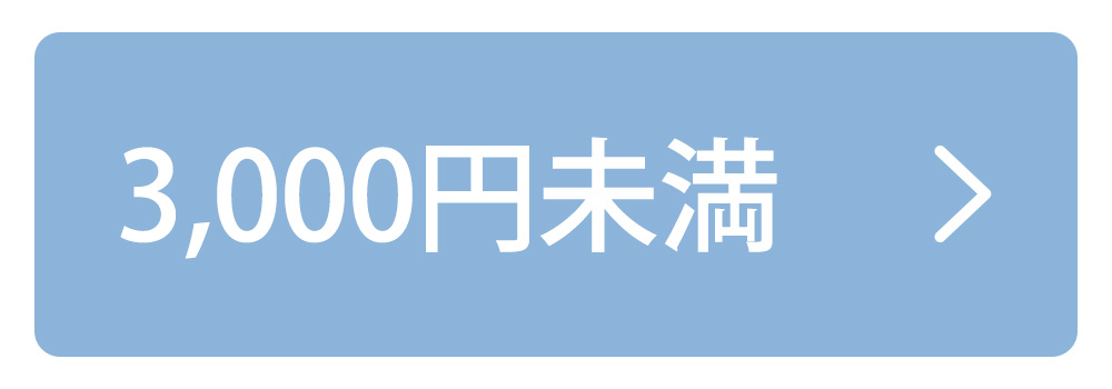 3000円未満