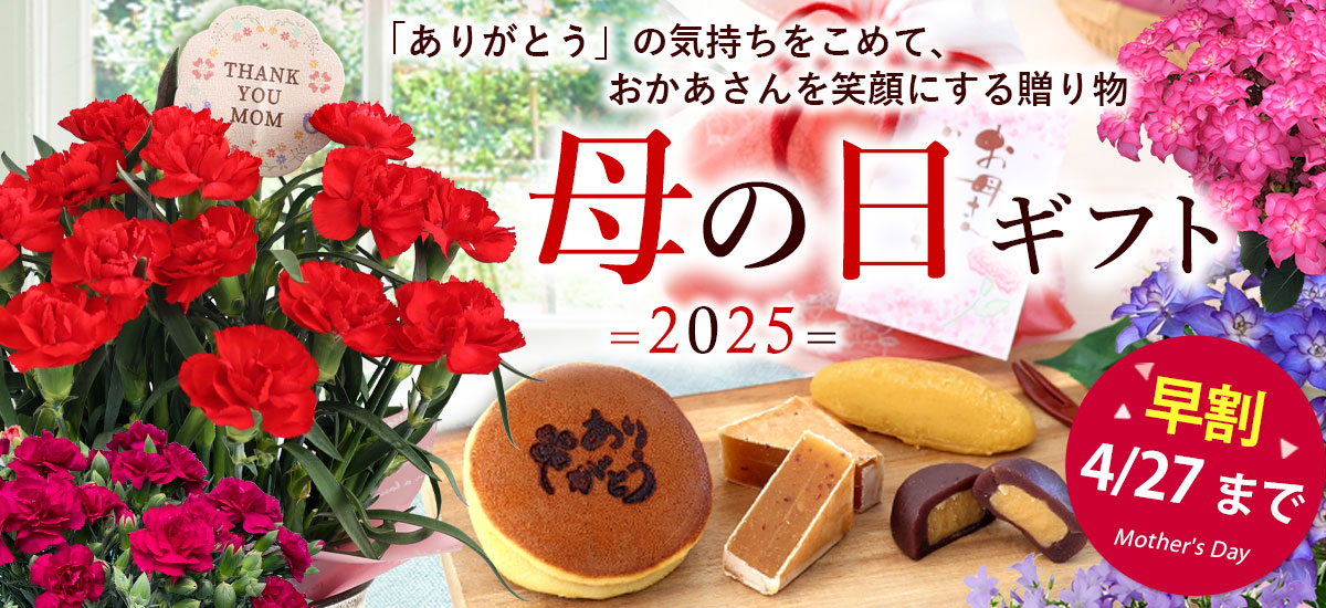mom25_bn1200x550.jpg