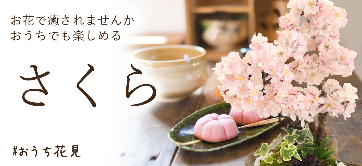 seijin22_bn1200x550.jpg