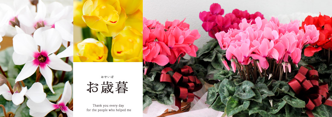 冬の花贈り～ウィンターギフト | フラワーマーケット花由公式サイト