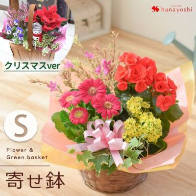 寄せ入れ 花鉢 フラワーマーケット花由公式サイト