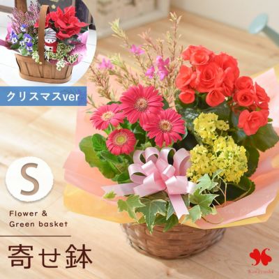 送料無料 季節のおまかせ花鉢とグリーンの寄せ入れ Sサイズ フラワーバスケット