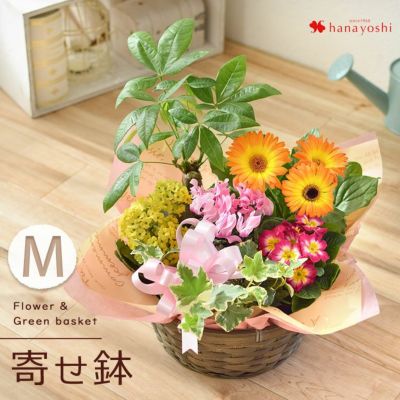 送料無料 季節のおまかせ花鉢とグリーンの寄せ入れ Mサイズ フラワーバスケット