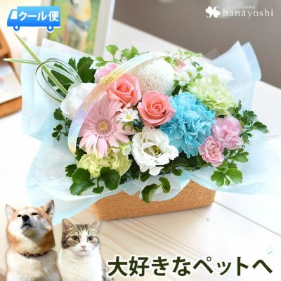 [冷蔵便]でお届け 送料無料 ペットに贈るお供え生花アレンジメント 「ciel-シエル」