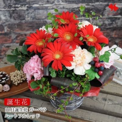 誕生花を使ったアレンジメント 11月 ガーベラ 誕生月の生花アレンジ 「ハートフルレッド」