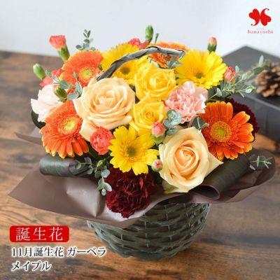 誕生花を使ったアレンジメント 11月 ガーベラ 誕生月の生花アレンジ 「メイプル」