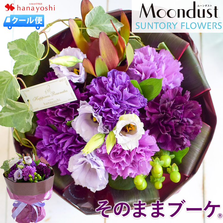 花瓶いらずの花束 そのままブーケwith Moondust ムーンダスト カーネーション フラワーマーケット花由公式サイト