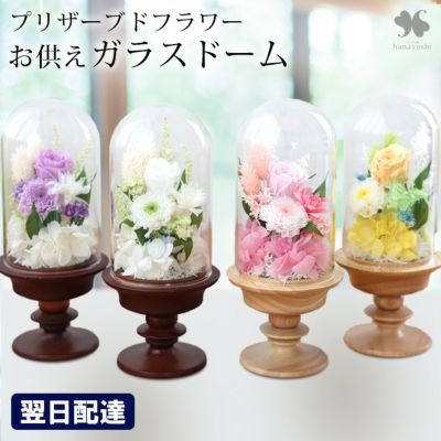 お供え 花 プリザーブドフラワー 仏花 ガラスドーム アレンジメント Ｓ 送料無料 お盆 新盆 初盆 お彼岸