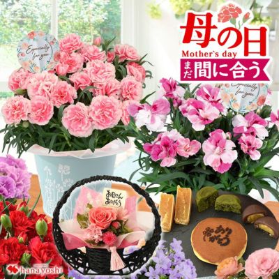 母の日ギフト 2025 組合せ39通り！13種類から選べるお花と3種類から選べるスイーツのセット