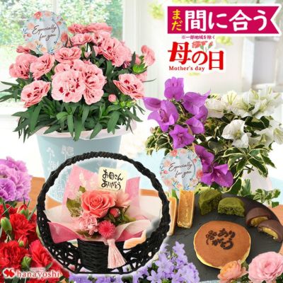 母の日ギフト 2025 組合せ39通り！13種類から選べるお花と3種類から選べるスイーツのセット