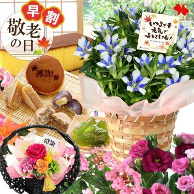 早割 敬老の日 2025 選べる25通り 花とスイーツセット