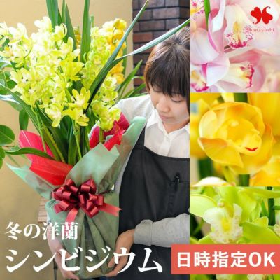 送料無料 シンビジウム 3～4本立 選べる3色 日時指定OK 11月22日～12月25日の間でお届け