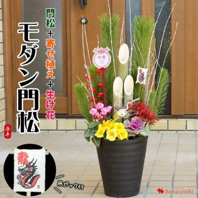 正月 寄せ植え 鉢植え フラワーマーケット花由公式サイト