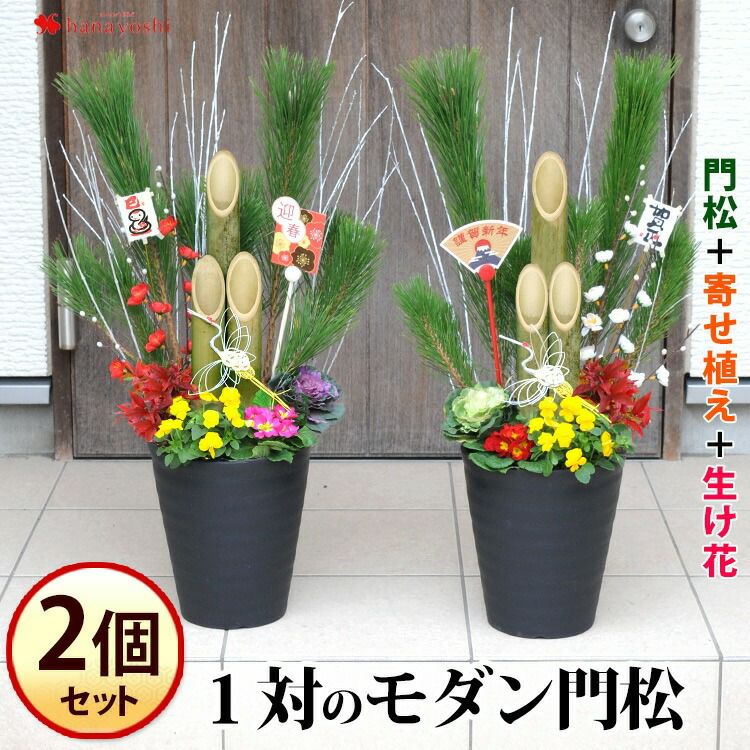 一対の迎春 お正月 2025 モダン門松～お花も入った寄せ植え仕立て 2個分送料無料＆ さらにお得 12/26～12/30の間でお届け |  フラワーマーケット花由公式サイト