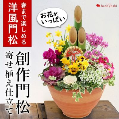 寄せ植え 花苗 フラワーマーケット花由公式サイト