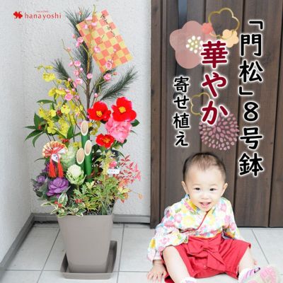 正月 寄せ植え 鉢植え フラワーマーケット花由公式サイト 正月 寄せ植え 鉢植え フラワーマーケット花由公式サイト