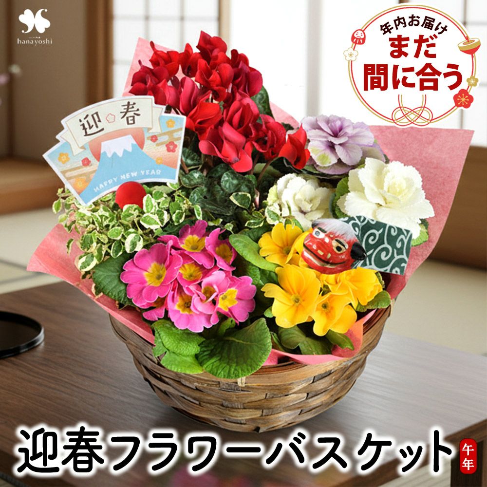 年内お届け お正月 2026 送料無料 迎春フラワーバスケット 寄せ入れ 12