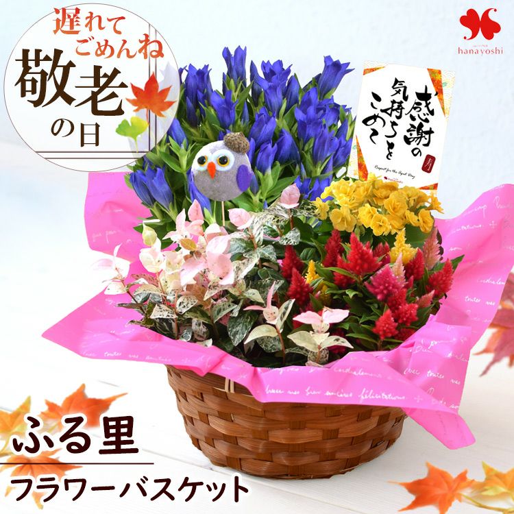 寄せ入れ 花鉢 フラワーマーケット花由公式サイト