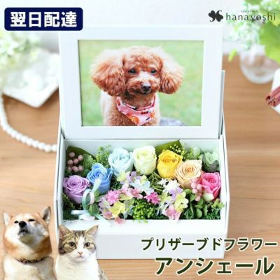 送料無料 プリザーブドフラワー ペットのお供え アンシェール