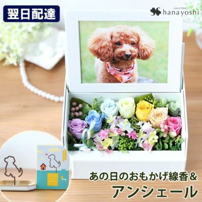 送料無料 プリザーブドフラワー ペットのお供え アンシェール ペットのお線香セット