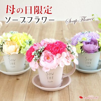 00円 フラワーマーケット花由公式サイト 00円 フラワーマーケット花由公式サイト