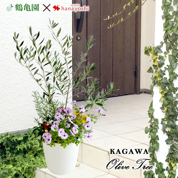 開店 移転 引越し祝い フラワーマーケット花由公式サイト