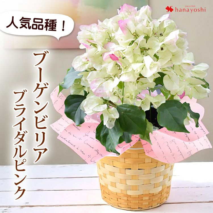 000000000845-01-l.jpg?t=