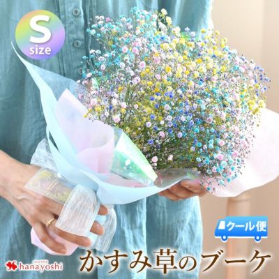 [冷蔵便]でお届け かすみ草のブーケS カスミソウ