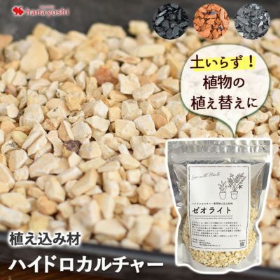 ハイドロカルチャー 植え込み材 資材