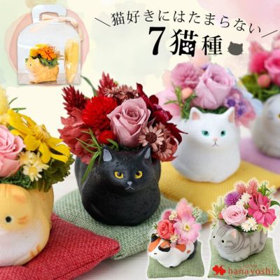 プリザーブドフラワー 和風 くつろぎねこ～7種類
