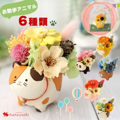 プリザーブドフラワー お散歩アニマル 6種類 猫